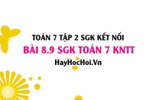 Bài 8.9 SGK Toán 7 Tập 2 Kết nối tri thức